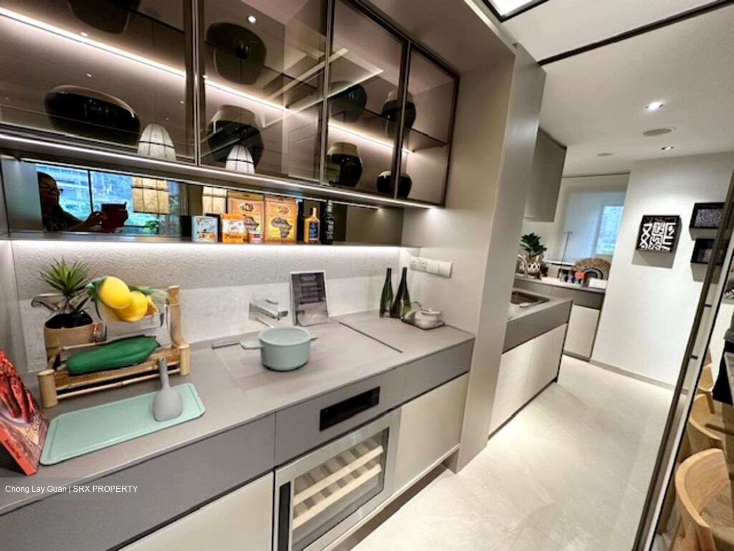 Union Square Residences (D1), Condominium #496154681